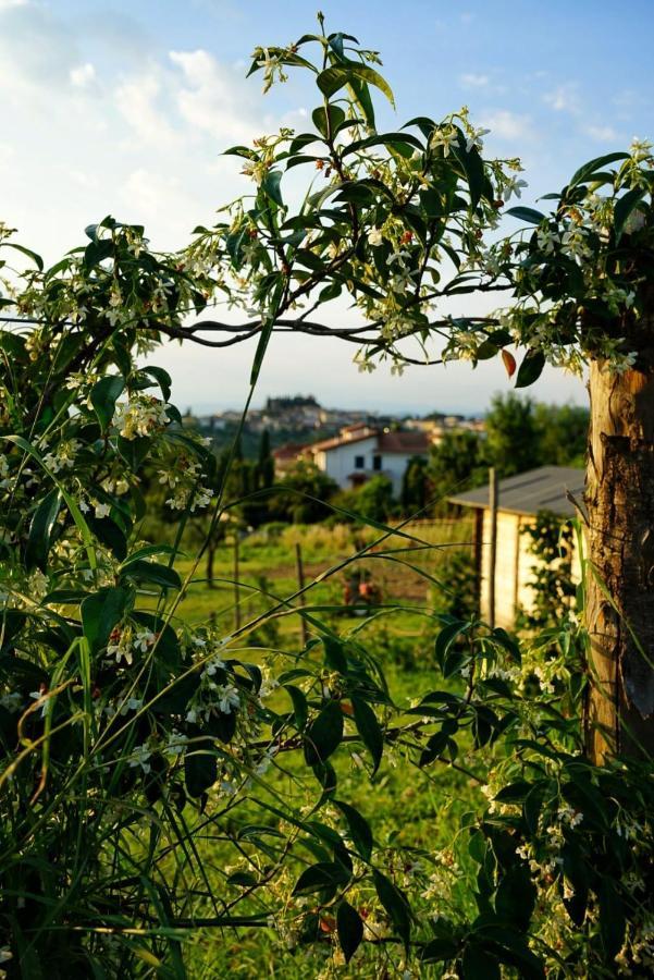 Séjour à la ferme Adimari
