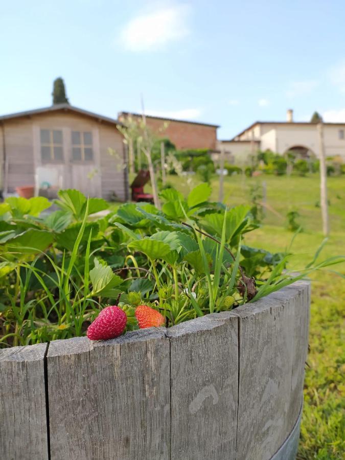Séjour à la ferme Adimari *